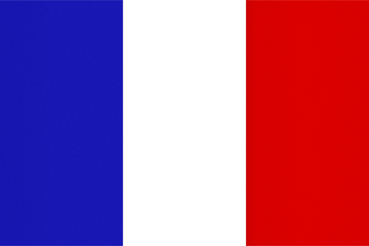 French Flag, Texturised